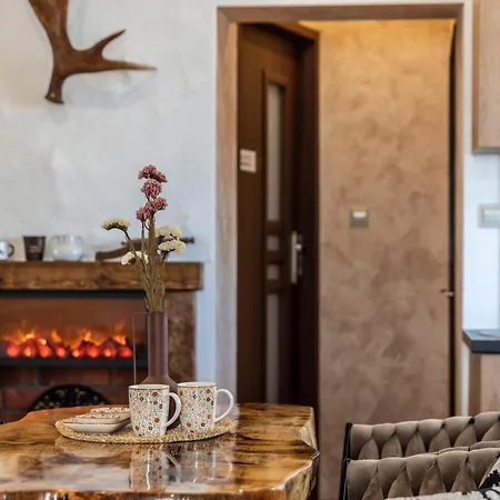 Chwost -w Poblizu Term I Zakopanego Z Widokiem Na Tatry