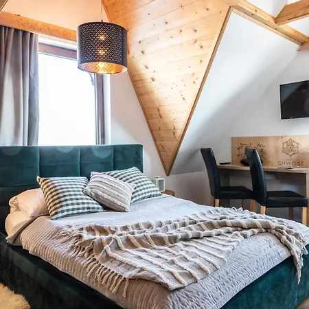 Chwost -w Poblizu Term I Zakopanego Z Widokiem Na Tatry *