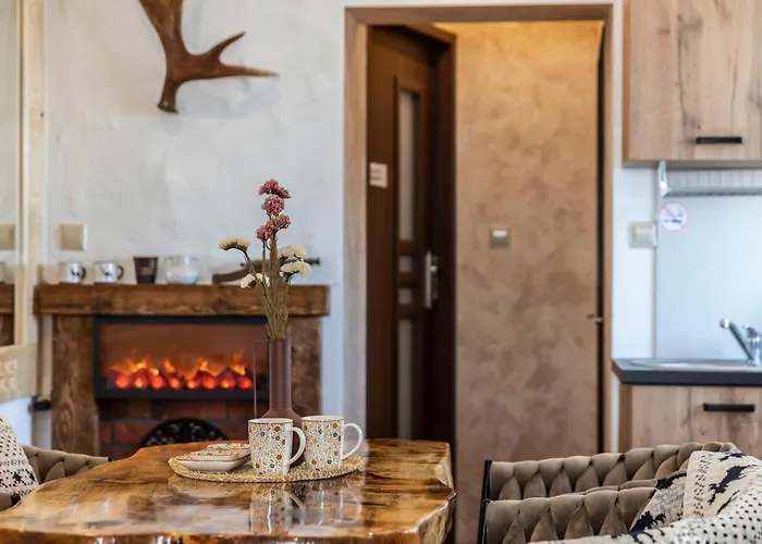 Chwost  W Pobliżu Szaflary&termy-wyciąg Narciarski 400m