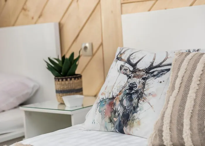 Chwost  W Pobliżu Szaflary&termy-wyciąg Narciarski 400m Apartament Biały Dunajec